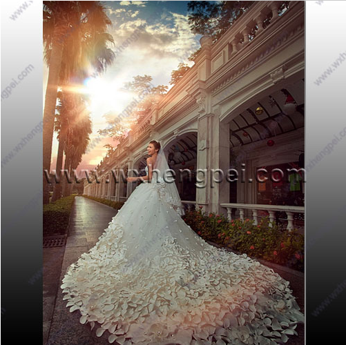 Petals dress by hand /sew on crystal beads big tail&nbs