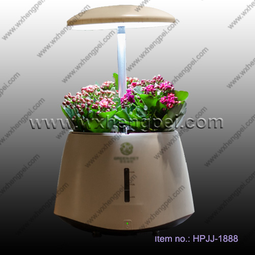 Mini hydroponic smart garden