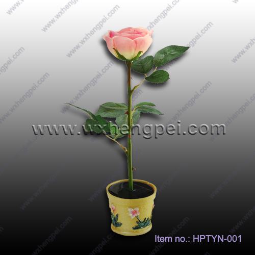solar rose light (HPTYN-001)