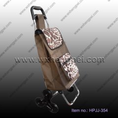 foldable shopping bag(HPJJ-354)