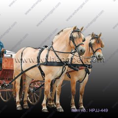 Europe Leather Halter / Padded Horse Halter (HPJJ-449)