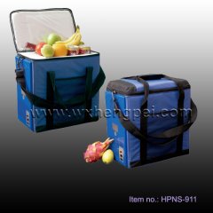 12V car fridge Thermoelectric cooler&Warmer (HPNS-911)