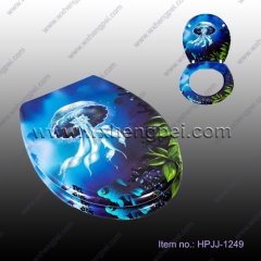 High Quality Resin Toilet Seat(HPJJ-1249 )