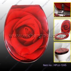 High Quality Resin Toilet Seat（HPJJ-1245）